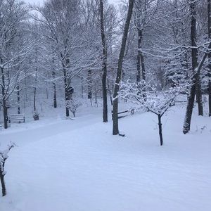 Meet your Posher, Florence